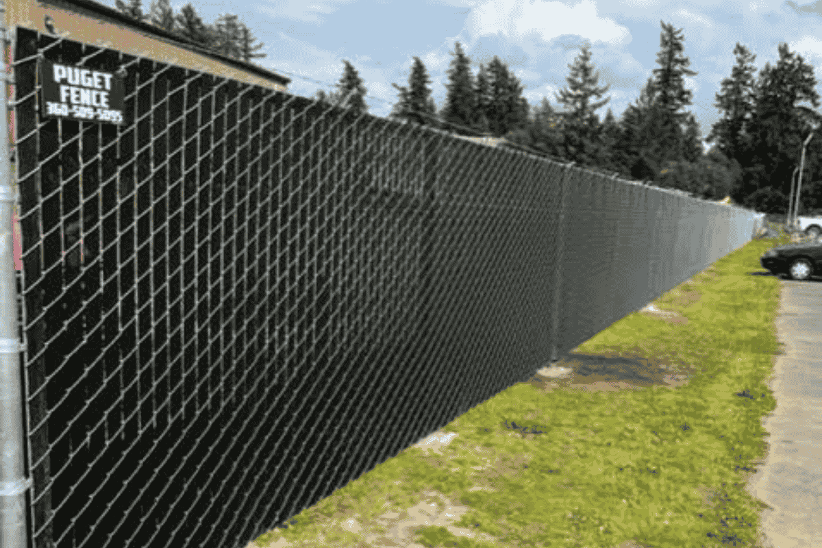 Installing Cyclone Fence: Budget-Friendly Chain Link Solutions for Privacy