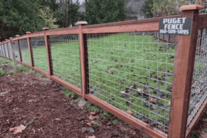 10 Important Things to Know Before Installing a Privacy Fence at Home